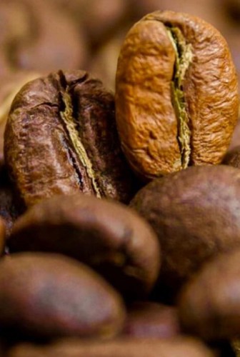 SALWADOR Finca El Guamo